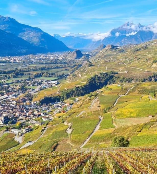 Vitis-Au Coeur Du Vignoble Valaisan Apartment Saint-Léonard Екстериор снимка
